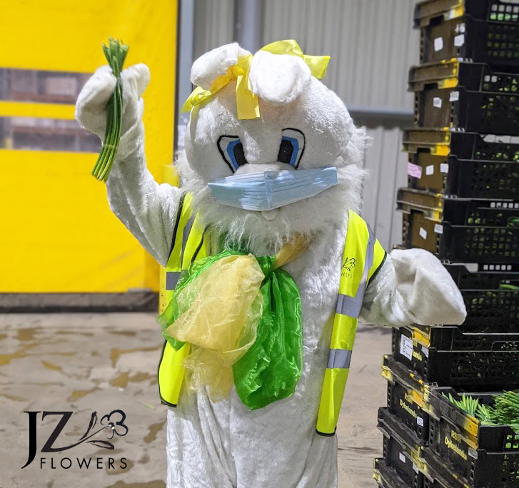 jz_flowers's tweet image. Easter-fever has well and truly hit our Moulton office. Even the Easter bunny has turned up to check out our Easter stems first-hand. We hope everyone is having a happy #EasterWeekend. 

#Easter2021 #Easter #Flowers #EasterBunny