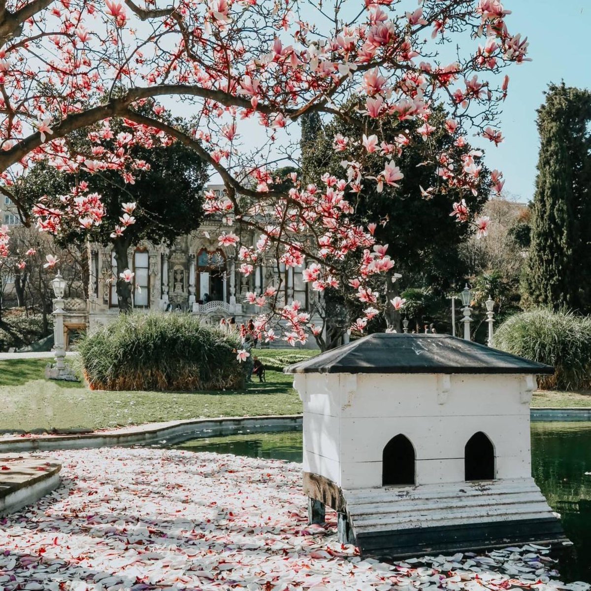 mekancu's tweet photo. Havalar biraz daha düzeldiğinde bahar dönemi için Ihlamur Kasrı güzel bir gezinti olabilir.❤️

📍Dikilitaş Mah, Hakkı Yeten Cd. No:1, 34365 Beşiktaş/İstanbul
📱0 (212) 259 50 86 https://t.co/uTx0CLXJNh