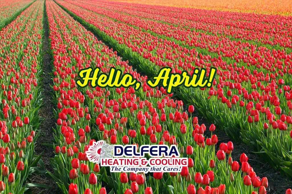 Hello April! What are you most looking forward to this month?