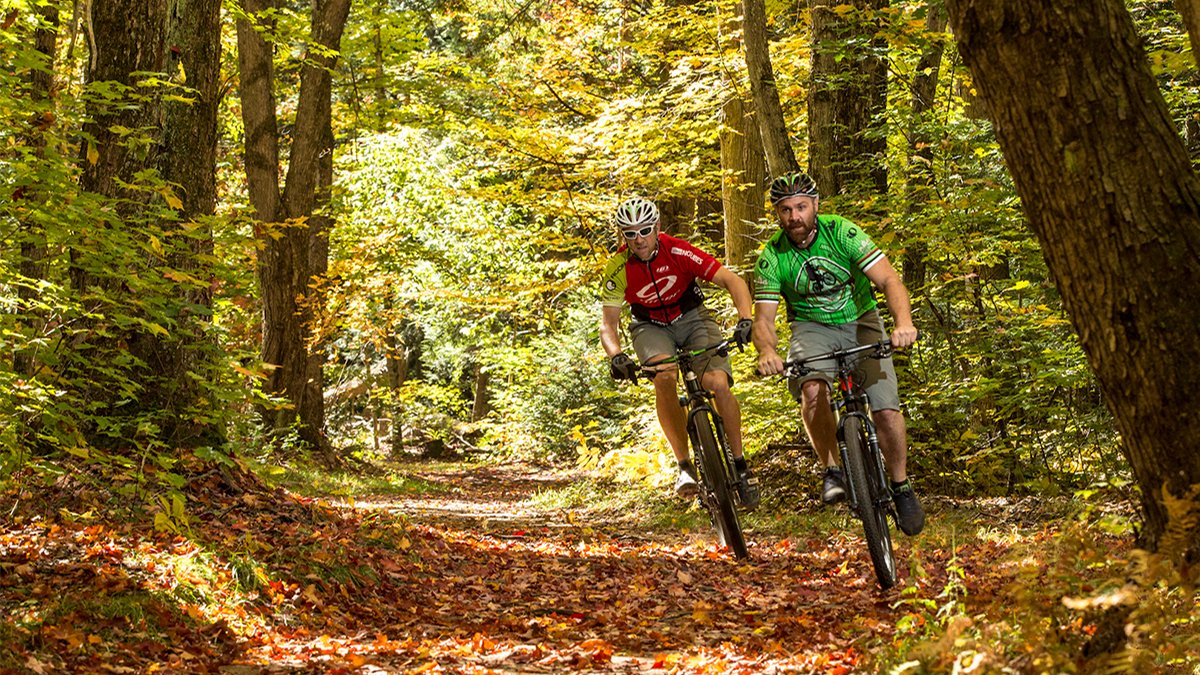Racing through the forest 😀
.
.
#bikecottagecountry #mountainbike #muskoka #buckwallow