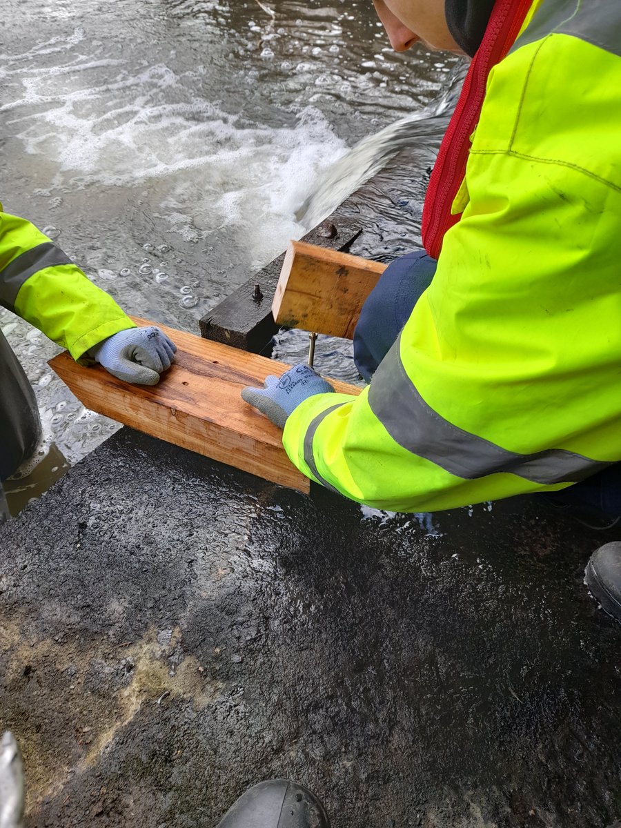 The_Skill_Mill's tweet photo. Great photos of #teamSkillMill in #Northumberland today. Working with @NorthRivers to build #fishpasses.
@nestrg @EDGENorthEast1 @NorthumbrianH2O @RHDHV_WATUK_N @socialleadersNE @EnvAgencyYNE @SSE_Yorks_NE @NU_Foundation @Peer_PowerUK @exceptionals_uk @SchSocEnt #environment https://t.co/bVdlwCDmW1