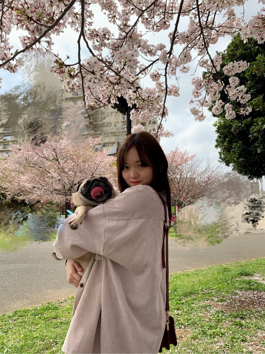 春瀬もも　衛星とカラテア　ランチェキ　まとめ売り　ばら売り可 2025年最新】春瀬ももの人気アイテム - メルカリ