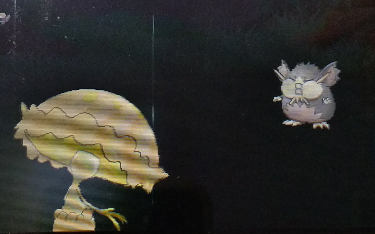 ポケモンサンムーン ポケモンサンムーン