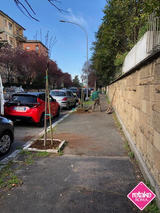 Retake_Roma's tweet photo. Ed eccoli finalmente i primi alberi, comprati grazie al nostro fundraising, piantumati in zona Tintoretto. Rendiamo più verde la nostra città, aiutiamo a combattare il cambiamento climatico e rafforziamo il senso di Comunità. #Retree #SiamoComunità https://t.co/HbvUk2oJSE