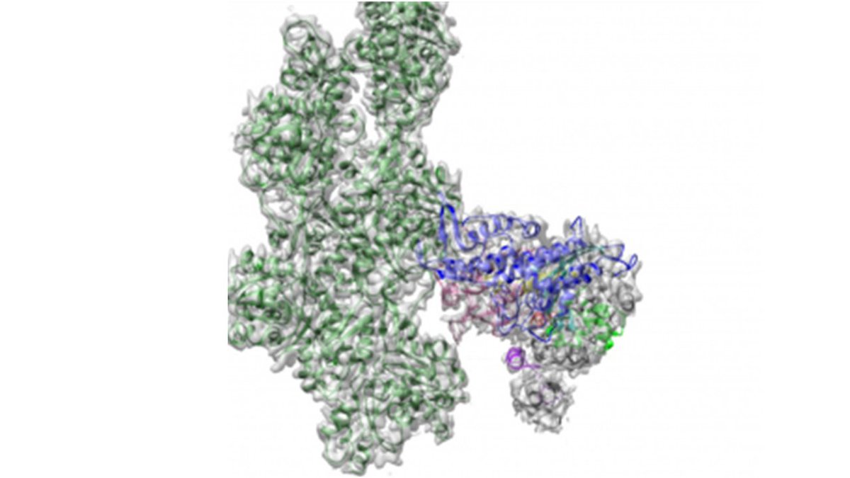 #Publication 📰 Bravo à <a href="/JulienPaganin/">Julien Robert-Paganin</a> et Anne Houdusse 👩‍🔬👨‍🔬 de l'Unité Biologie cellulaire &amp; cancer <a href="/CNRS/">CNRS 🌍</a> de notre Centre de recherche pour la parution de leurs travaux sur l'évolution des moteurs moléculaires dans <a href="/NatureComms/">Nature Communications</a> !

En détails ➡️ ow.ly/I7NX50EeaoM