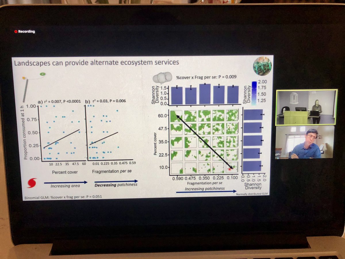 Chelsea_B_UNC's tweet photo. Congratulations @amy_yarnall! Great #defense and paper exploring how fragmented habitat, and factors like matrix tolerance, can influence community structure. Well done!! #UNCIMS https://t.co/jPWn39RSTg