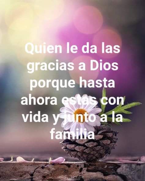 Joahana (@joahanamej) on Twitter photo 