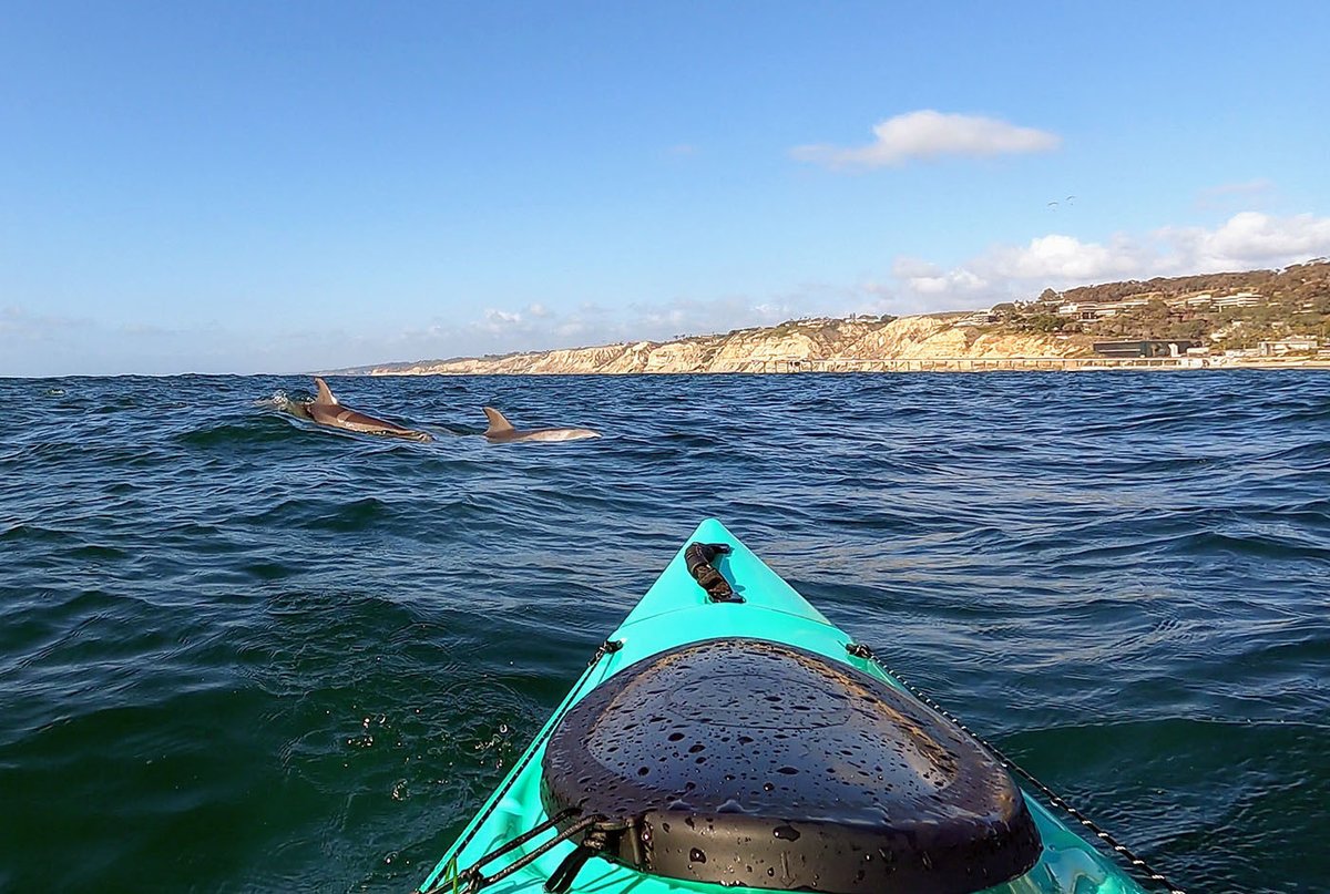 Had an awesome time exploring La Jolla Shores on our Kayaks! Read the full trip report here: seekadventure.net/d/197-ocean-ka…

#lajolla #lajollashores #california #optoutside #kayak #pakayak #kayaking #dolphins