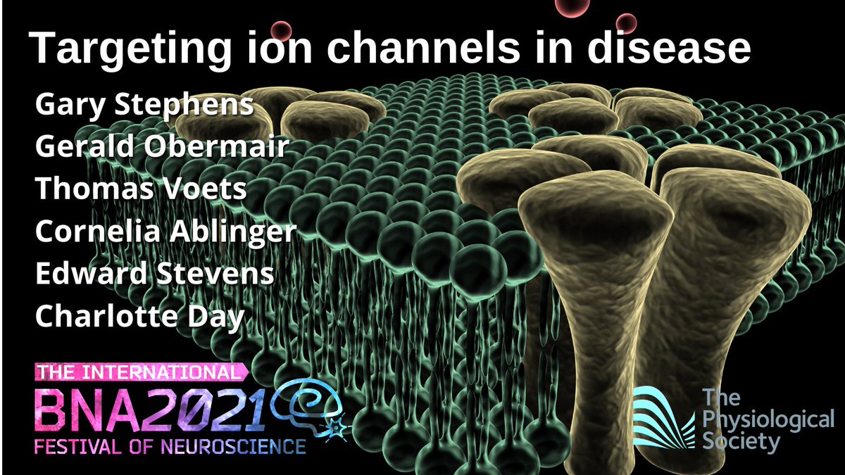 gstephens65's tweet photo. Myself and Gerald Obermair (@jerriska_gerald) are chairing the "Targeting ion channels in disease" symposium at #BNA2021 on Monday 12th April, 9 - 10:20am sponsored by @physoc. Please join us!

Link to full programme: https://t.co/LNEz4LDi5m

#BNAFestivalReady https://t.co/bTBBO9WJRZ