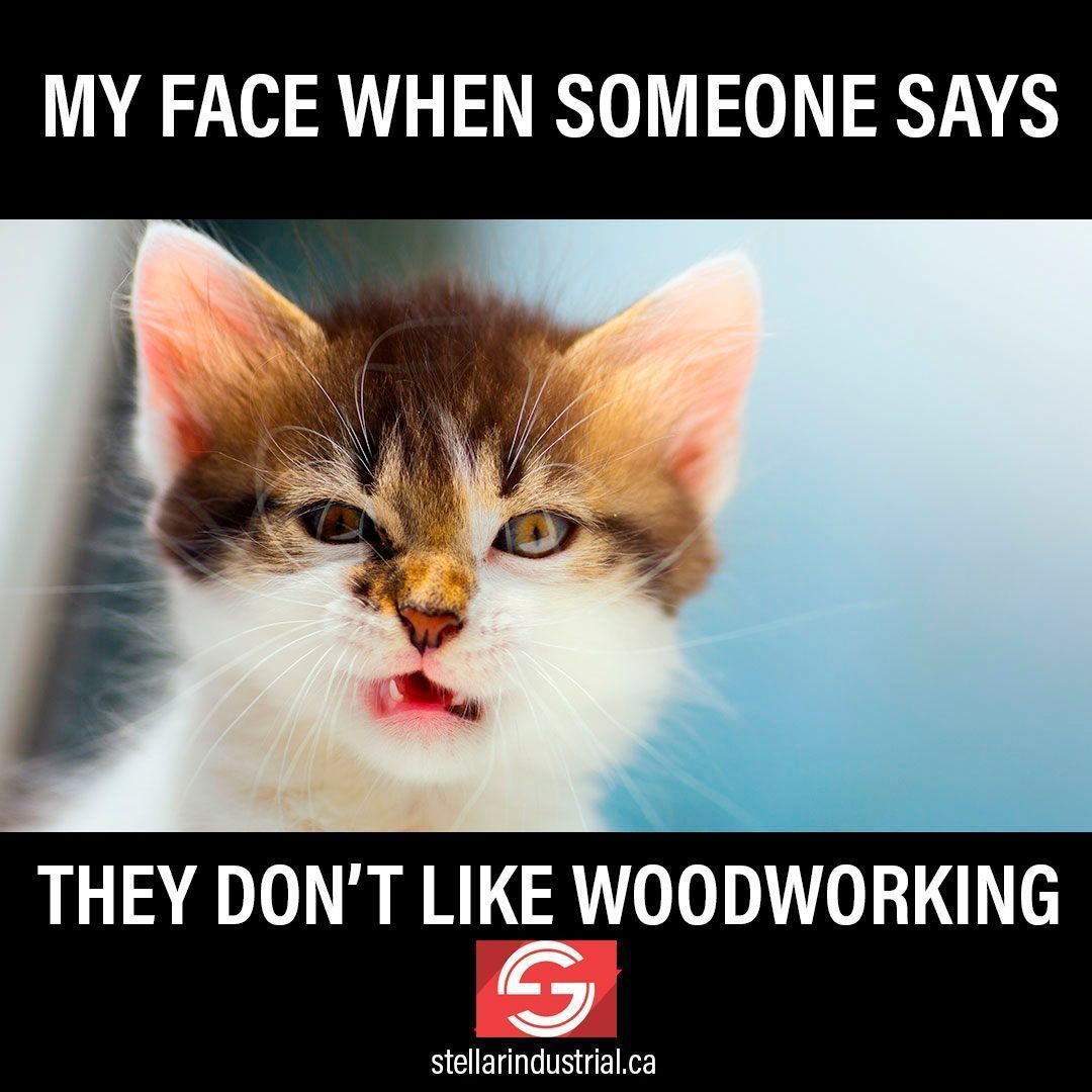 StellarIndSales's tweet photo. #Meme of the Day. Genuinely hard to understand someone wouldn't like woodworking :) #humour #funny #cats #Cat #Kitty #Cute #woodworking #Lathes #Machinery #Industrialsales #Tools #ProTools #HandTools #PowerTools #ToolHoarder #ToolBoxBuzz #StellarIndustrial https://t.co/1WhL4njUx5