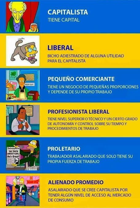 Elison de Campos tweet media