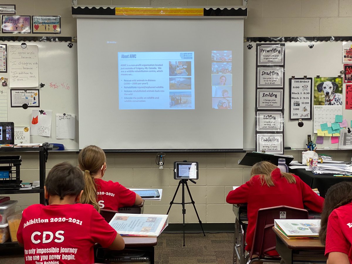 Mrs. Monty's Class (@mrsmonty5thgrd) on Twitter photo Students learning so much about Wildlife Conservation from <a href="/AIWC/">Alberta Institute for Wildlife Conservation</a> ’s Katrina Terrill. Thank you so much for connecting with us! #inspire #edchat #science #wildlifeconservation #buncee Students learning so much about Wildlife Conservation from <a href="/AIWC/">Alberta Institute for Wildlife Conservation</a> ’s Katrina Terrill. Thank you so much for connecting with us! #inspire #edchat #science #wildlifeconservation #buncee