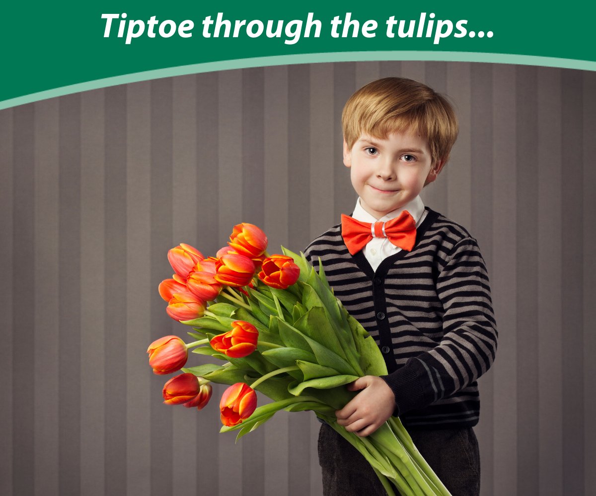 HoweSoundRx's tweet image. Tiptoe through the tulips... - mailchi.mp/f6413914e575/t…
...embrace the joys of spring!
#caringbeyondmedications #bettercare #pharmacygibsons #shoplocalgibsons #supportlocalgibsons #shoplocalsunshinecoast #supportlocalsunshinecoastbc #shoponlinesunshinecoastbc
#deals #specials