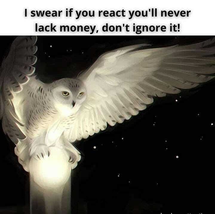 motivationmagic's tweet photo. You're about to INSTANTLY attract big money :-)

#affirmation #astrology #witcher #lawofattraction #tarot #higher #Blessings #RaiseTheBar #PositiveVibesOnly #positive #UNIVERSE #PositiveVibes #wealth #higherself #spiritualgrowth #SPIRITUAL https://t.co/tBHI7ixXQX