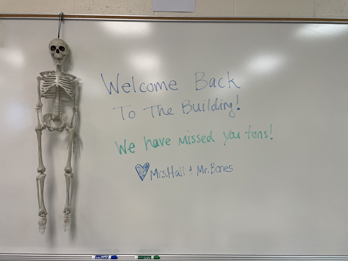 CHallScience116's tweet photo. Mr. Bones and I can’t wait to see 8th grade faces on Monday!! 💙 https://t.co/zO03rwpyXD