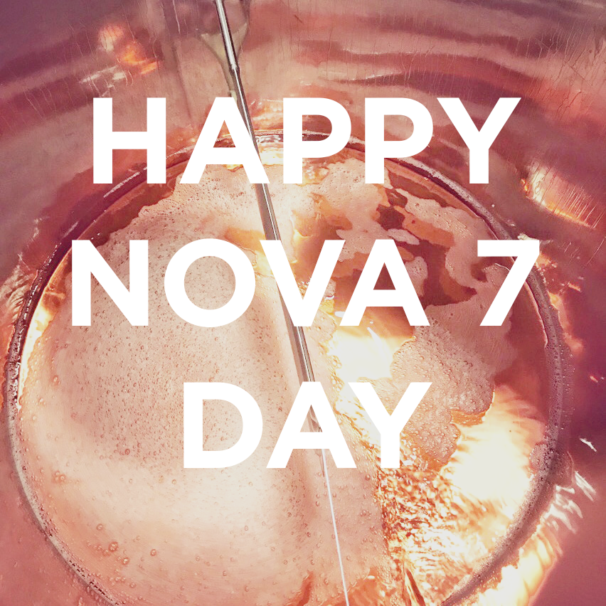 Benjamin_Bridge's tweet photo. Happy #Nova7Day! We'd like to take a moment to thank each and every one of you who have helped in marking Nova 7 as Nova Scotia's iconic wine over the past 14 vintages. Visit our Instagram and Facebook pages to find out how you can join in the celebrations today. https://t.co/XbcaGT14sP