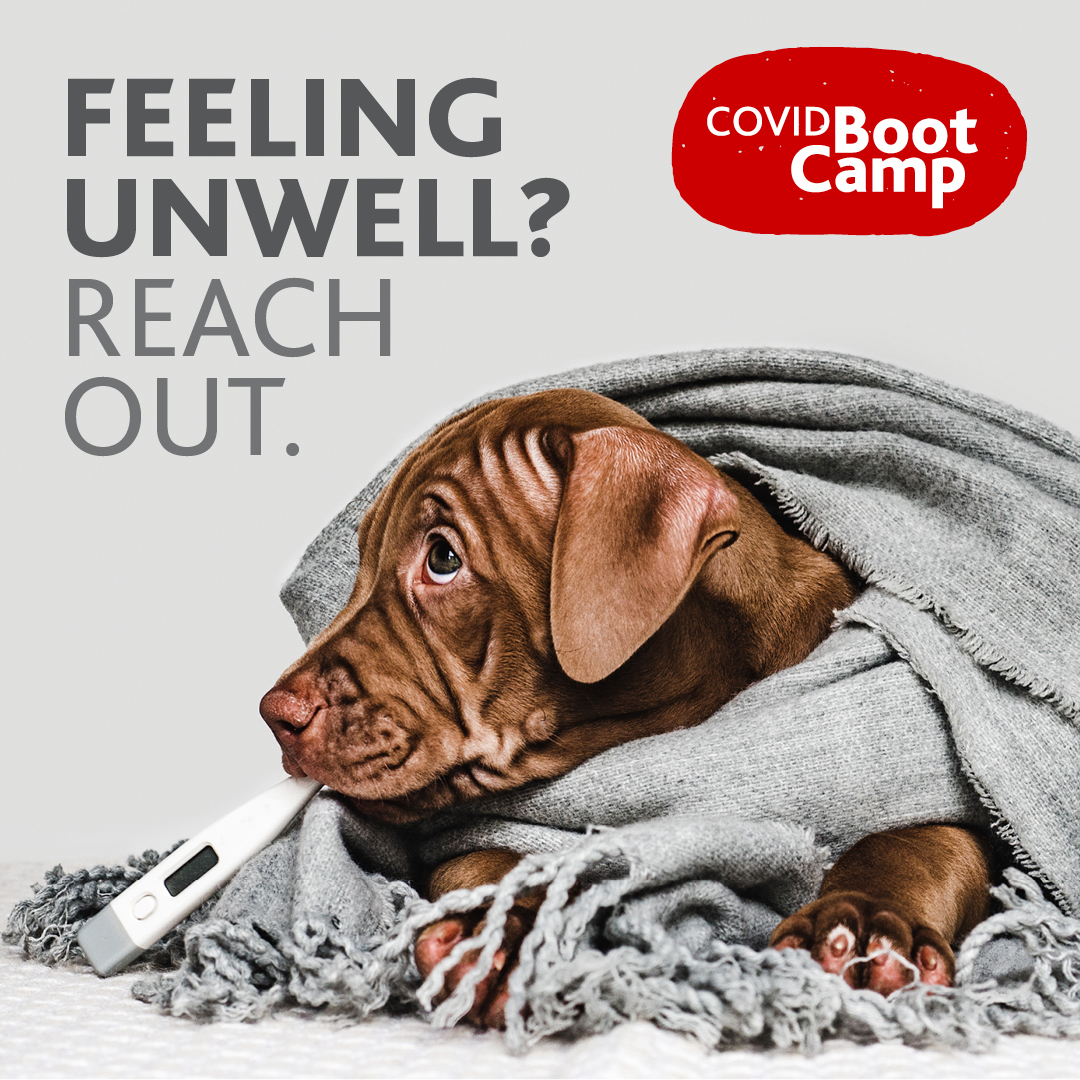 BrockSWAC's tweet photo. Take care of yourself and take care of others by knowing the symptoms of COVID-19 and feeling comfortable reaching out to professionals for an assessment.
For a list of symptoms to monitor, check out our Instagram post at https://t.co/WT4jVa05BG
#BrockU #BrockSWAC https://t.co/rimaikEpmv