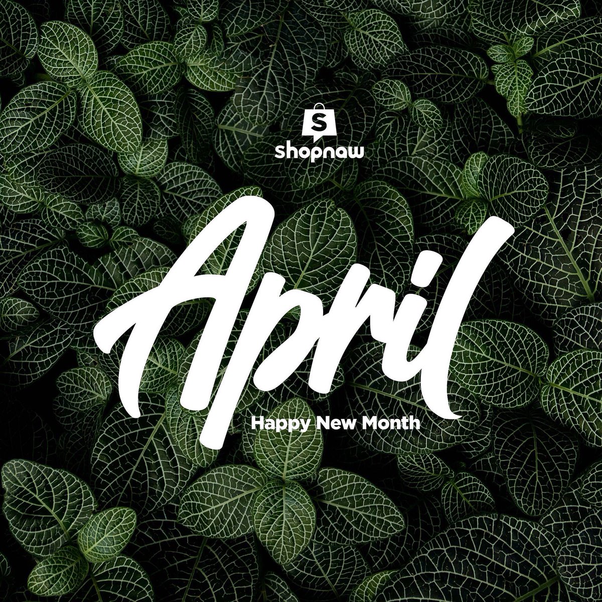 shopnaw's tweet photo. May we receive all the good things April has to offer.

Happy new month https://t.co/dJPvFpmsrK