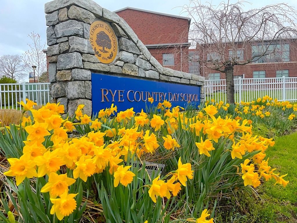 Rye Country Day School tweet media