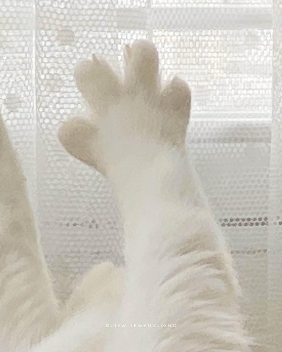 อยากกินซุปเปอร์ตีนไก่เลอ