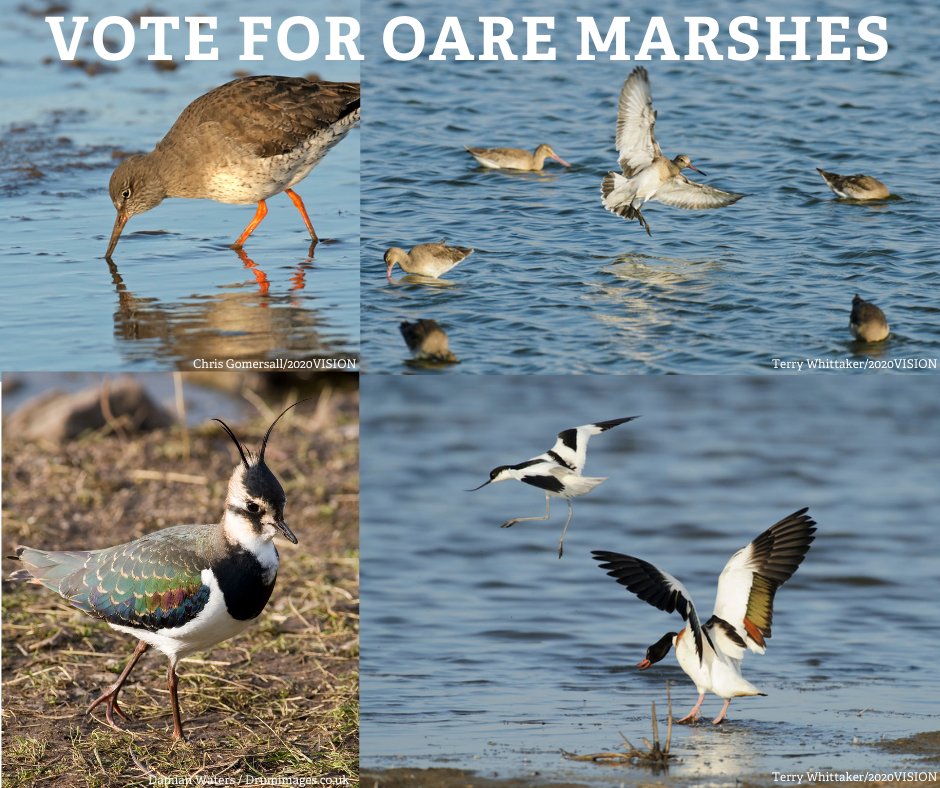 With your support we can secure €30k funding from <a href="/ConserveOutdoor/">EOCA - European Outdoor Conservation Association</a> to enrich biodiversity at Oare Marshes, restoring the reserve's wetland habitats for a range of birds &amp; other wildlife. Please vote for us 👉bit.ly/EOCA_VOTE. 
Thanks to everyone who has already voted 🐤🦆