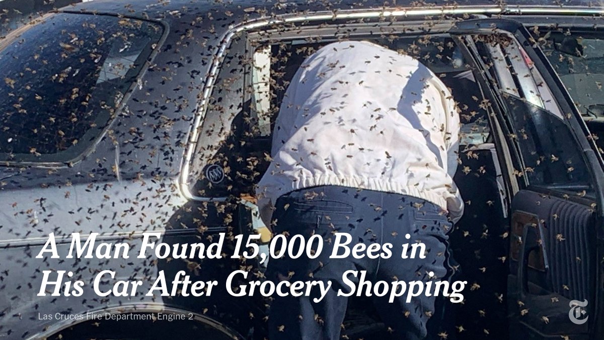 nytimes's tweet photo. It wasn’t until he was driving away that the man noticed something was amiss. 

“He turned back and looked and like was, ‘Holy Cow,'” an off-duty firefighter and paramedic whose hobby is beekeeping said. “He called 911 because he didn’t know what to do.” https://t.co/ExF11glz6o https://t.co/tzwmGKpCT2