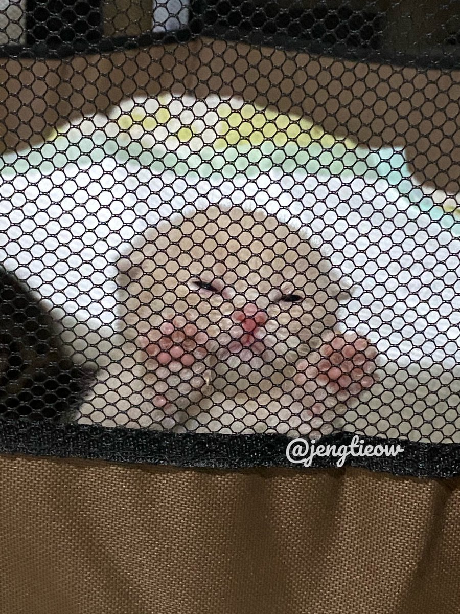 Been a rough few weeks for the ol natdawg. Please reply with your cute pet or fun reaction pics.