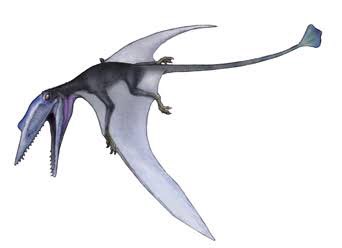 プテラノドンのtwitterイラスト検索結果