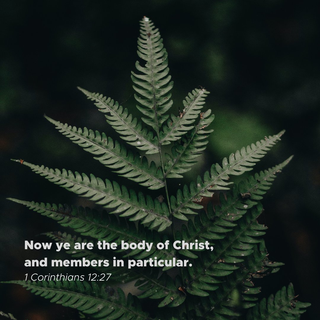 coastlinebc's tweet photo. If we want to be used by Jesus, we must be led.
#coastlinebaptistchurch #projectresurrection #scripture #bible #dailyverse #1Corinthians https://t.co/YucdnpTJ27