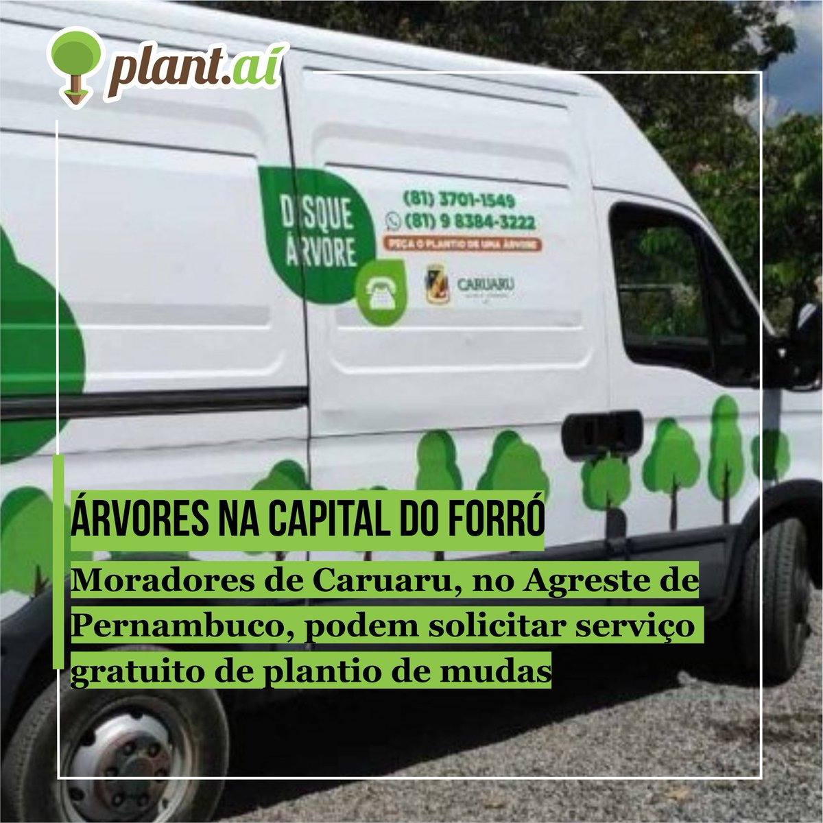 Plant_ai's tweet photo. Moradores de Caruaru-PE, podem solicitar, de forma gratuita, a realização do serviço de plantio de mudas de árvores em vias públicas e calçadas da cidade. Para solicitar o plantio, os moradores podem entrar em contato por meio dos telefones 081 3701-1455 ou 081 98384-3222. https://t.co/s2yiQYfYyT