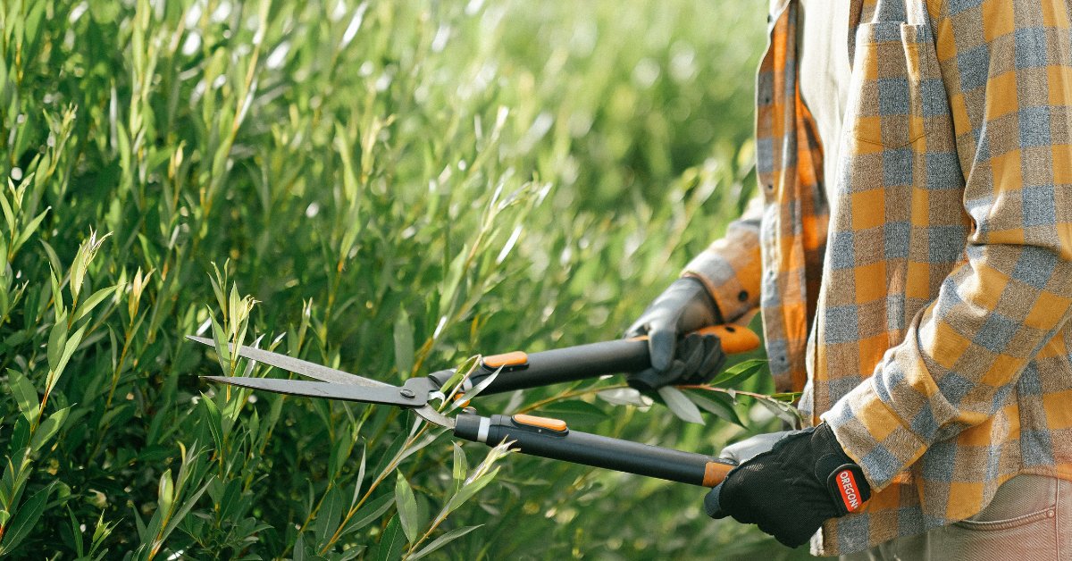 Wightbay tweet media