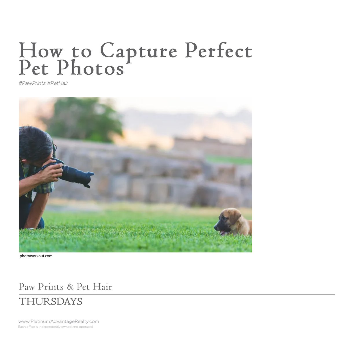 How to Capture Perfect Pet Photos

Pet photography can be daunting, but with a few handy tricks and a little bit of thoughtfulness, you can master it too and capture the perfect pet photo:  bit.ly/39pgpbW 

#PawPrintsPetHair #lukecares #fureverhomenotices #fureverhom ...