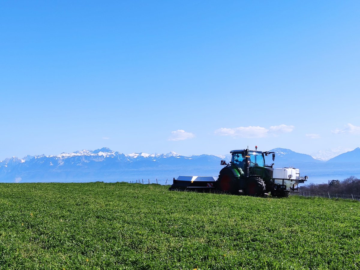 ecorobotix's tweet photo. Second delivery in the canton of Lucerne at Thomas Estermann AG. ARA is already at work treating rumex in a grassland.
#ARA_sprayer #smartweeding #agtech #highprecisionspraying #weedingrumex https://t.co/sHd0LfC6ZW