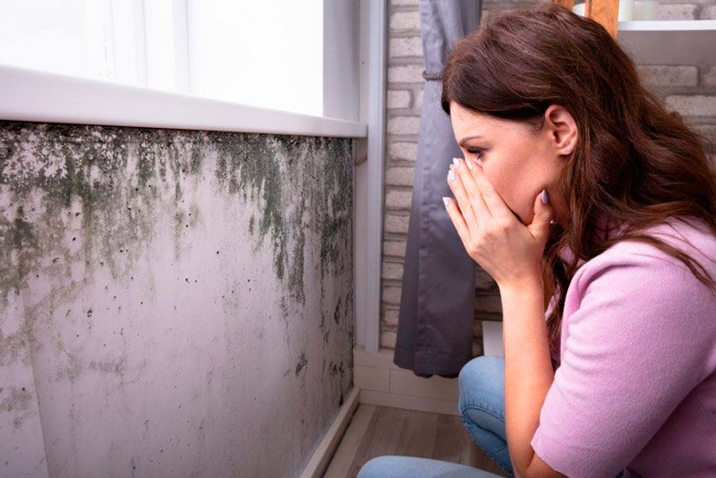 Humexpert's tweet image. ¿Cómo se puede saber si una vivienda tiene #ProbelmasDeHumedad?🏠💧Hay ciertos indicadores que nos advierten de su existencia👇

✳Olor desagradable
✳Manchas de moho
✳Muebles de madera deformados
✳Metales oxidados

Aquí los recogemos todos 👉 buff.ly/2H4hfgM #Humedades