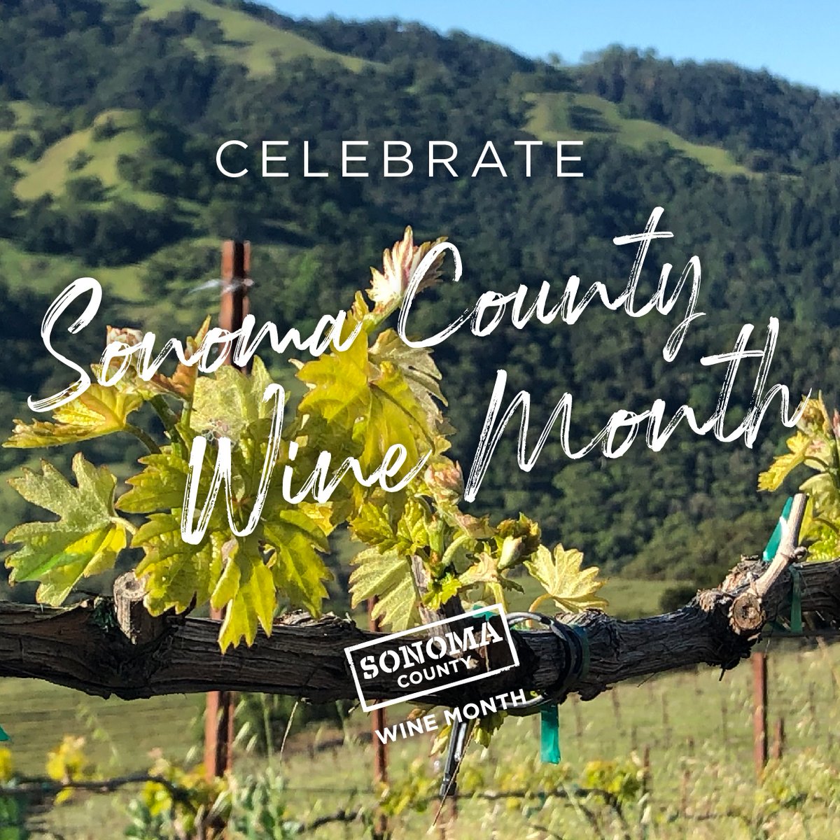 April 1st commences #SonomaCountyWineMonth. #Celebrate with us by enjoying all that our favorite wine country has to offer! 
#SonomaWine #SipSonoma #Wine #WineCountry #WineMaker #WineTasting #SonomaCounty#Cheers #wineandfood #winelife #winetime #California #Visitca #FoodandWine