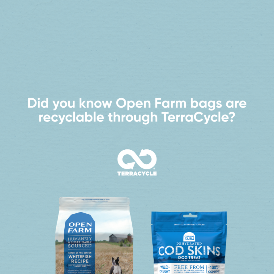 PawsStop's tweet image. Feed your pet well AND do good! pbxx.it/ytqt0v