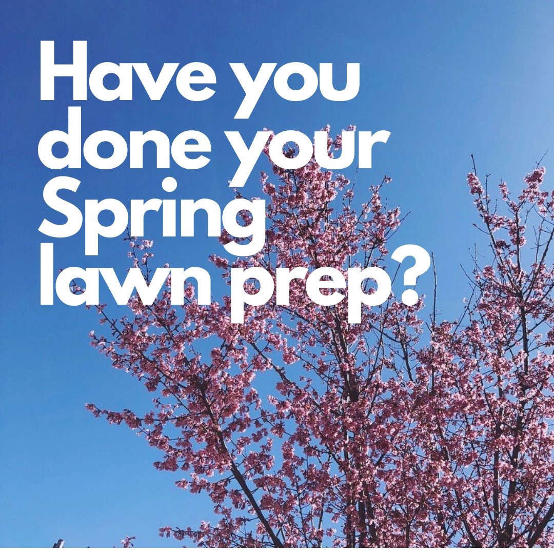 LawnServDotCom's tweet photo. Need a few tips to finally getting around to your Spring lawn prep this weekend? Check out our new blog post! 🌸

Link below and in bio:
https://t.co/e53DyIODY2 https://t.co/IL0fmRMCLs