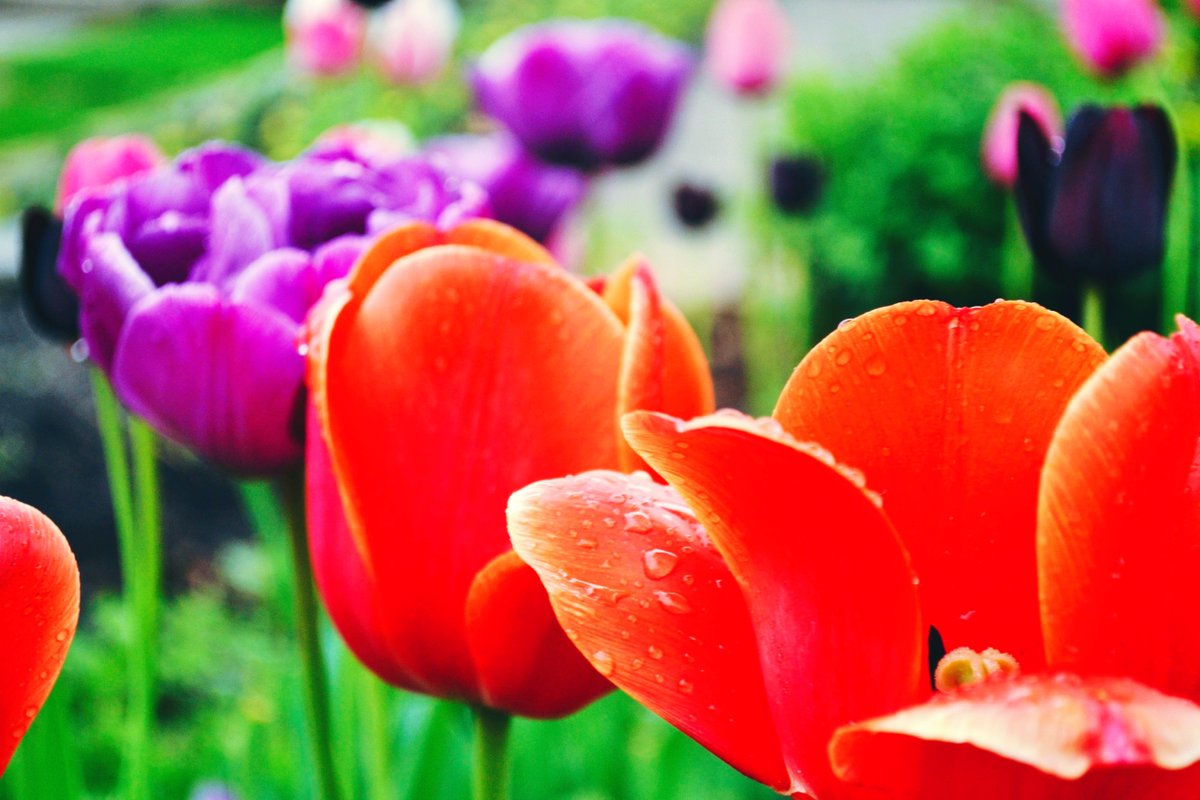 Thanks for all you do to create #beauty, impact #families and individuals, strengthen #communities, and give #hope! Here's to fresh starts and new beginnings. Happy Spring!