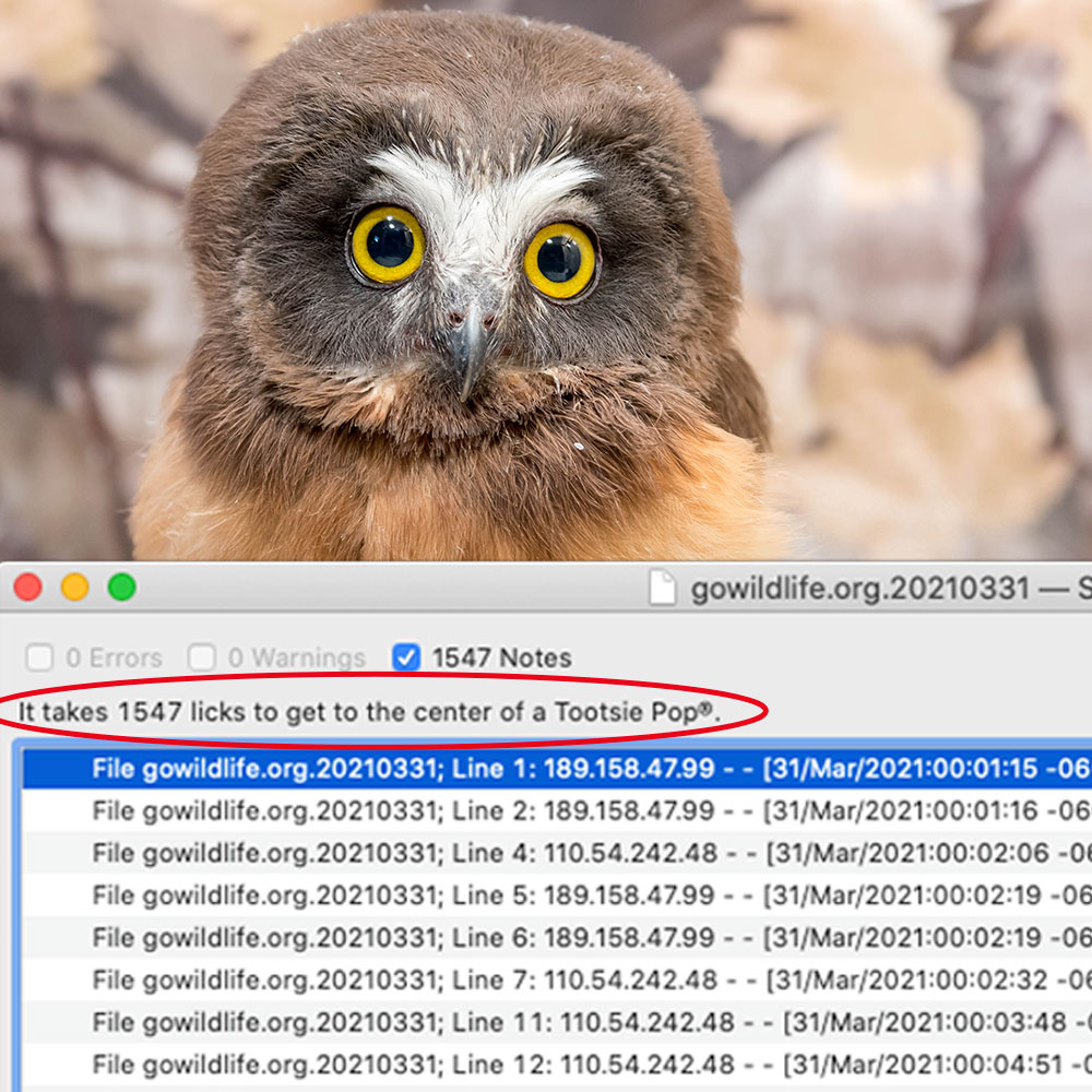 SWFgowildlife's tweet photo. From Volunteer Critter Webgeek:
Our thanks to Bare Bones Software for a laugh this April morn.
We use their program called BBedit for our site. This morning in searching our web logs, we noticed this interesting development.
#bbedit #itdoesntsuck #richsiegel
@bbedit @siegel https://t.co/6gNcjEPMB0