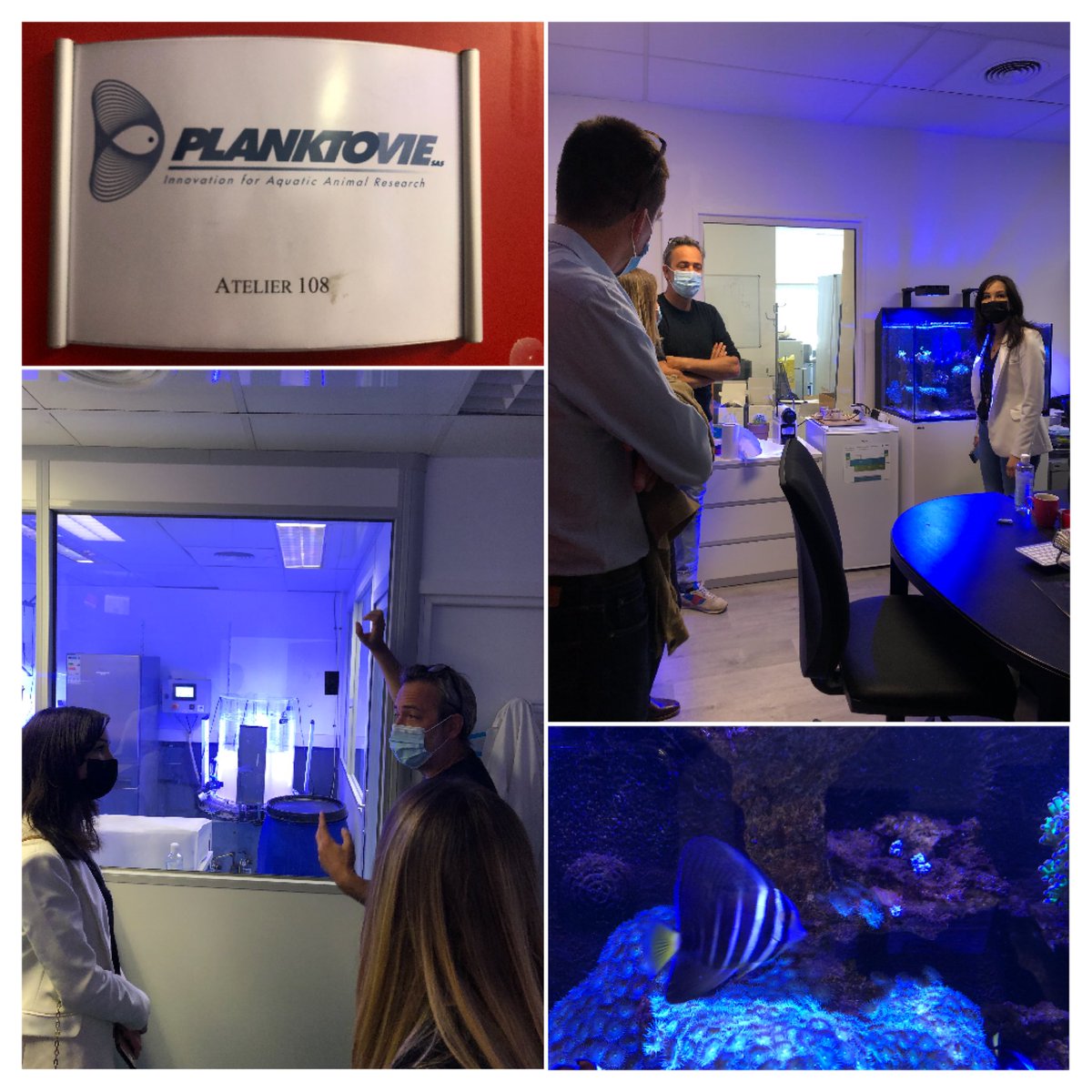 Marseille Innovation tweet media