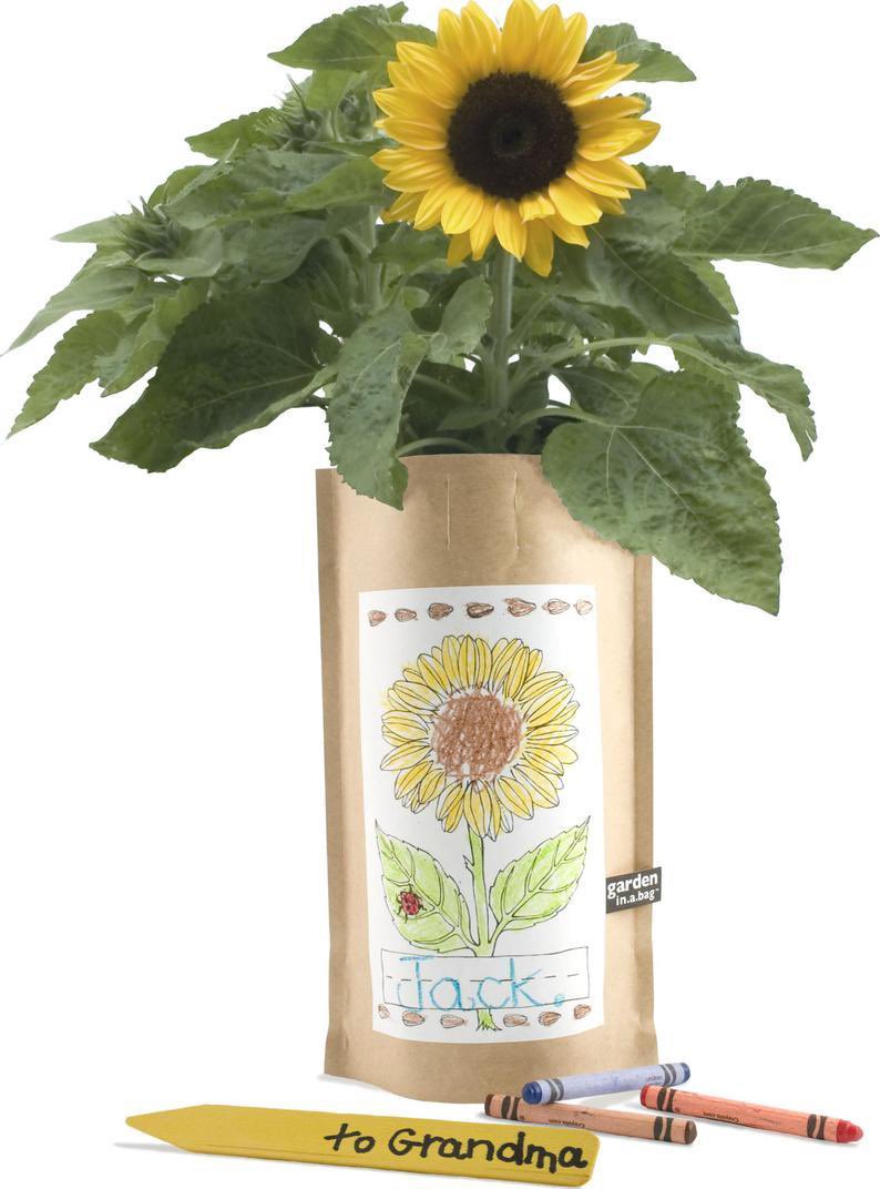 HopscotchMom's tweet photo. New post up on the blog today on Practical and Unique Children’s Gift Ideas for Any Special Occasion: Mother’s Day, Father’s Day, Teacher Appreciation Gift Ideas 2021.  #mothersday #hopscotch_mom #giftideas #easter #childrensgifts 

https://t.co/Ni1PEmM3z8 https://t.co/UaqDLBxmG3
