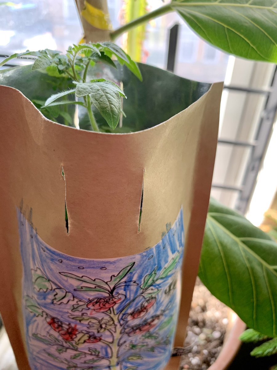 HopscotchMom's tweet photo. New post up on the blog today on Practical and Unique Children’s Gift Ideas for Any Special Occasion: Mother’s Day, Father’s Day, Teacher Appreciation Gift Ideas 2021.  #mothersday #hopscotch_mom #giftideas #easter #childrensgifts 

https://t.co/Ni1PEmM3z8 https://t.co/UaqDLBxmG3