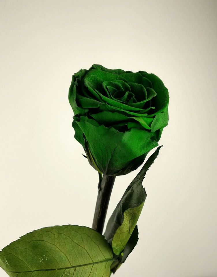 ASMA y EMBARAZO
¿Qué pasa con la Mujer Embarazada que padece Asma?
No es una situación infrecuente por lo que aporto información sobre el tema en el siguiente enlace.
tumedicoaltelefono.es/asma-y-embaraz…