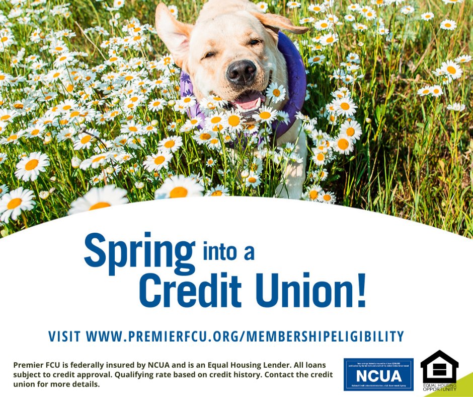 PremierFCU's tweet photo. Spring into a credit union that offers better savings rates, lower loan rates and exceptional service. C'mon, experience the credit union difference for yourself. Learn more about #PremierFCU and membership requirements at https://t.co/rIUy1gCQHQ 
 #SpringIntoACreditUnion https://t.co/9as5bCnIjm