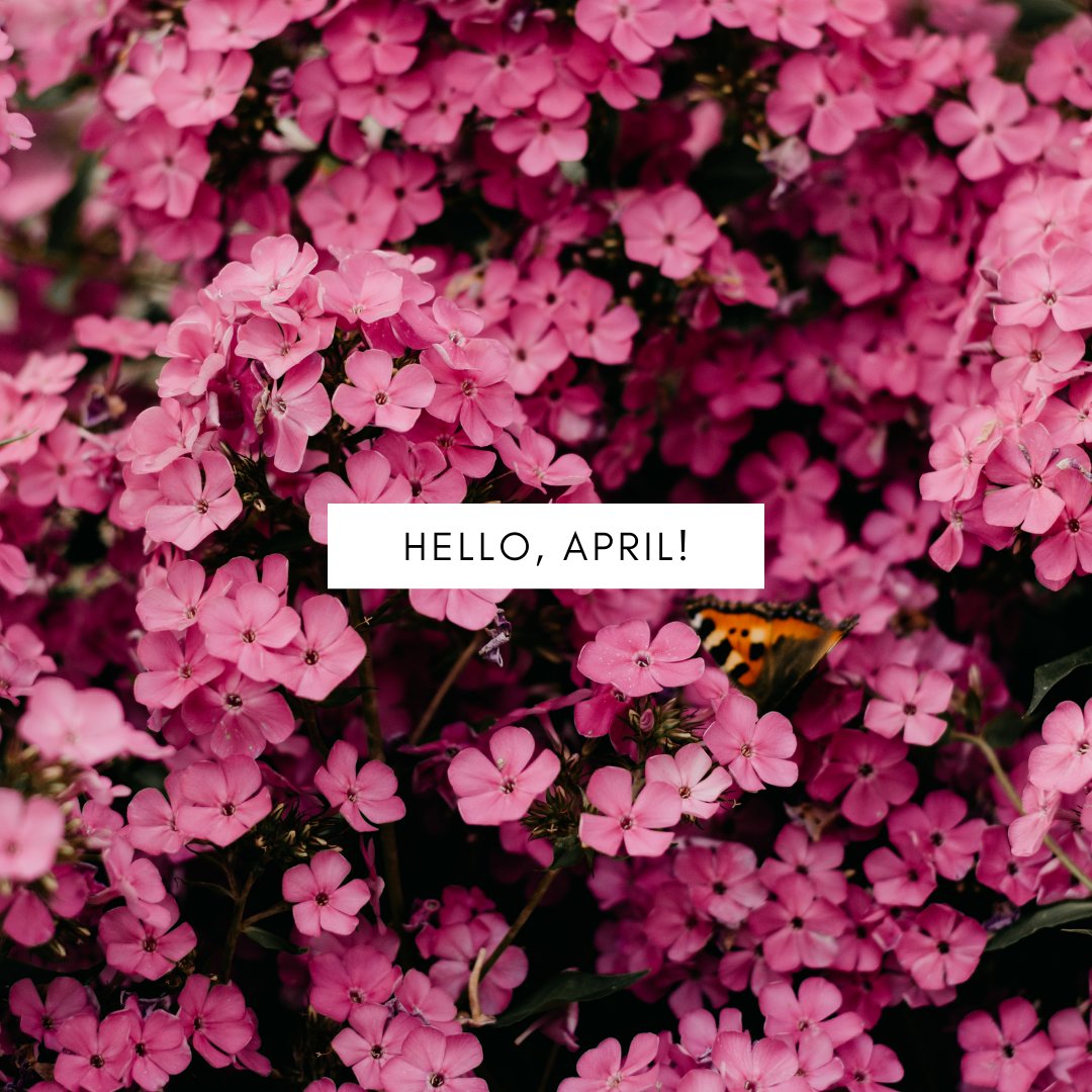 ardegaLTD's tweet photo. Hello April 🌸

#AprilApril #AprilFoolsDay #1stApril https://t.co/pCiPi46Y78