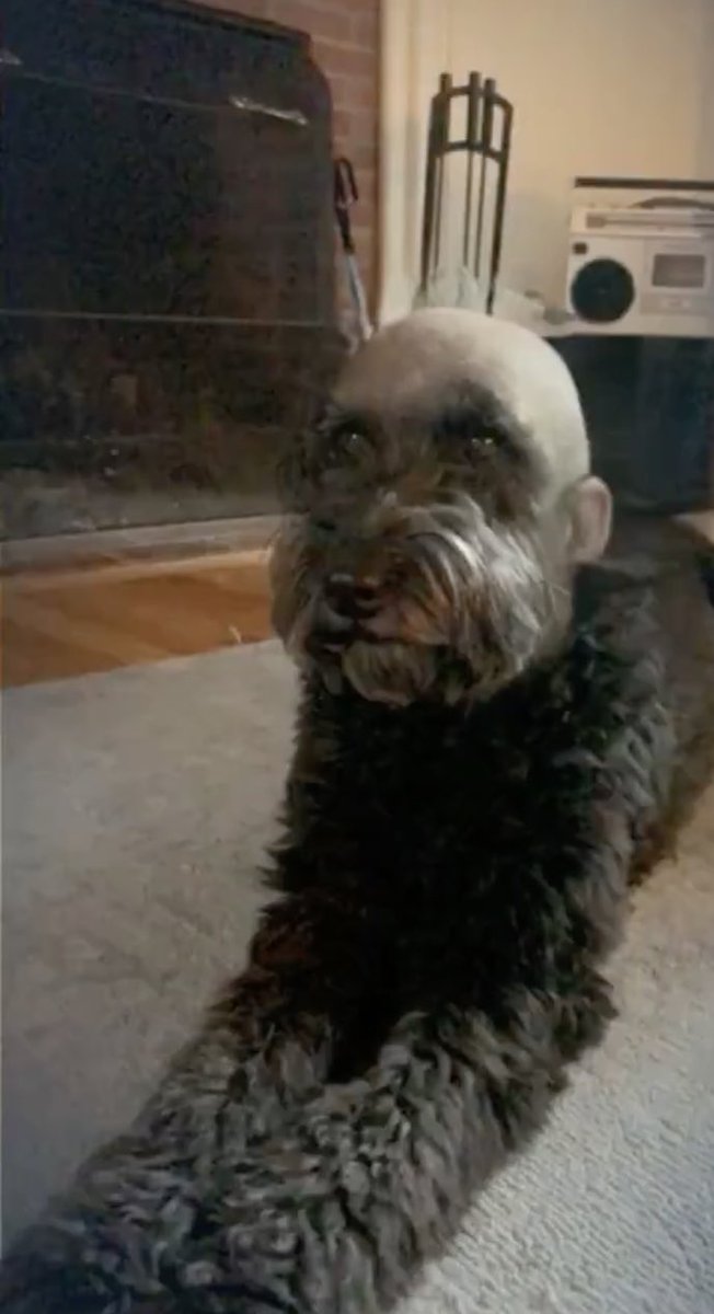 makjako's tweet image. 