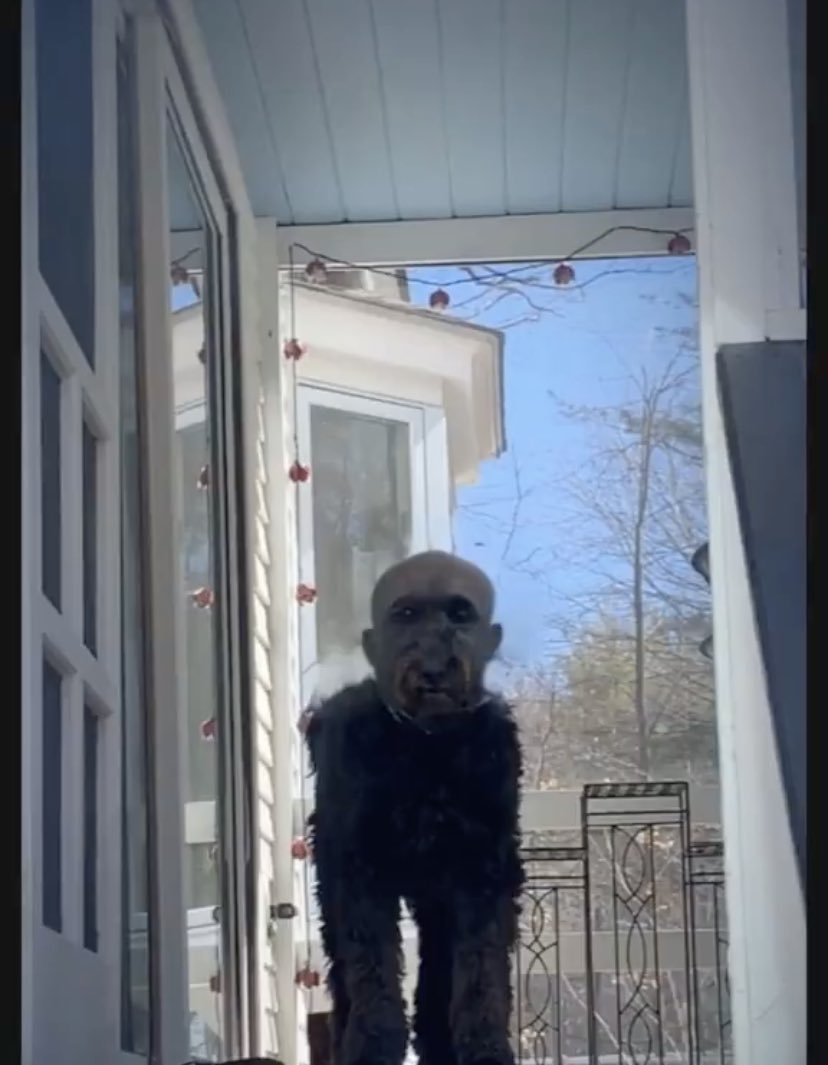 makjako's tweet image. 