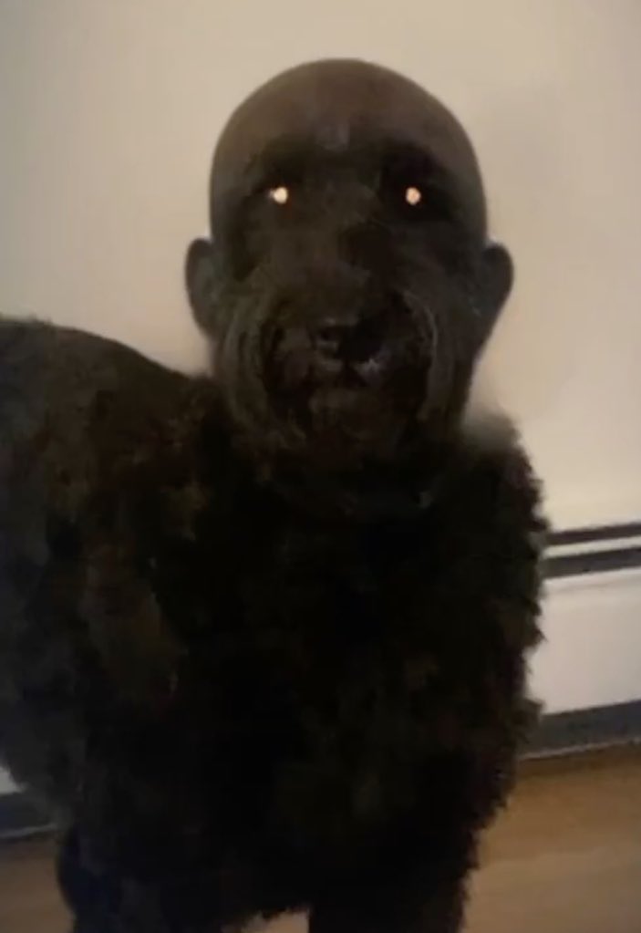 makjako's tweet image. 