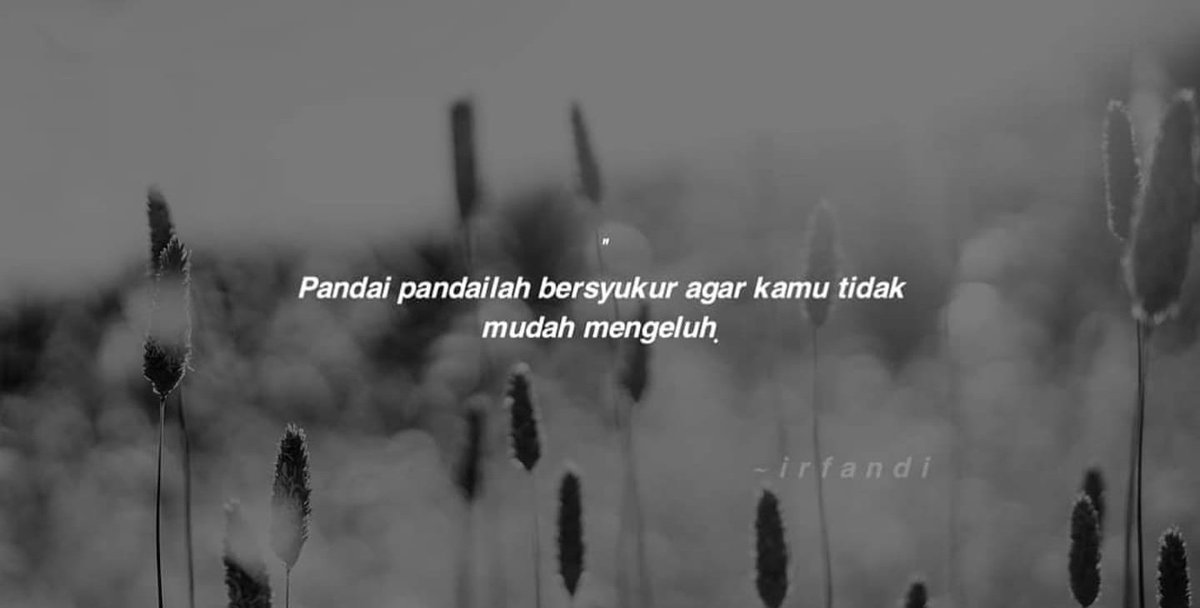kata2bijak's tweet photo. Pandai pandailah bersyukur agar kamu tidak mengeluh https://t.co/CAPpwjTIy6