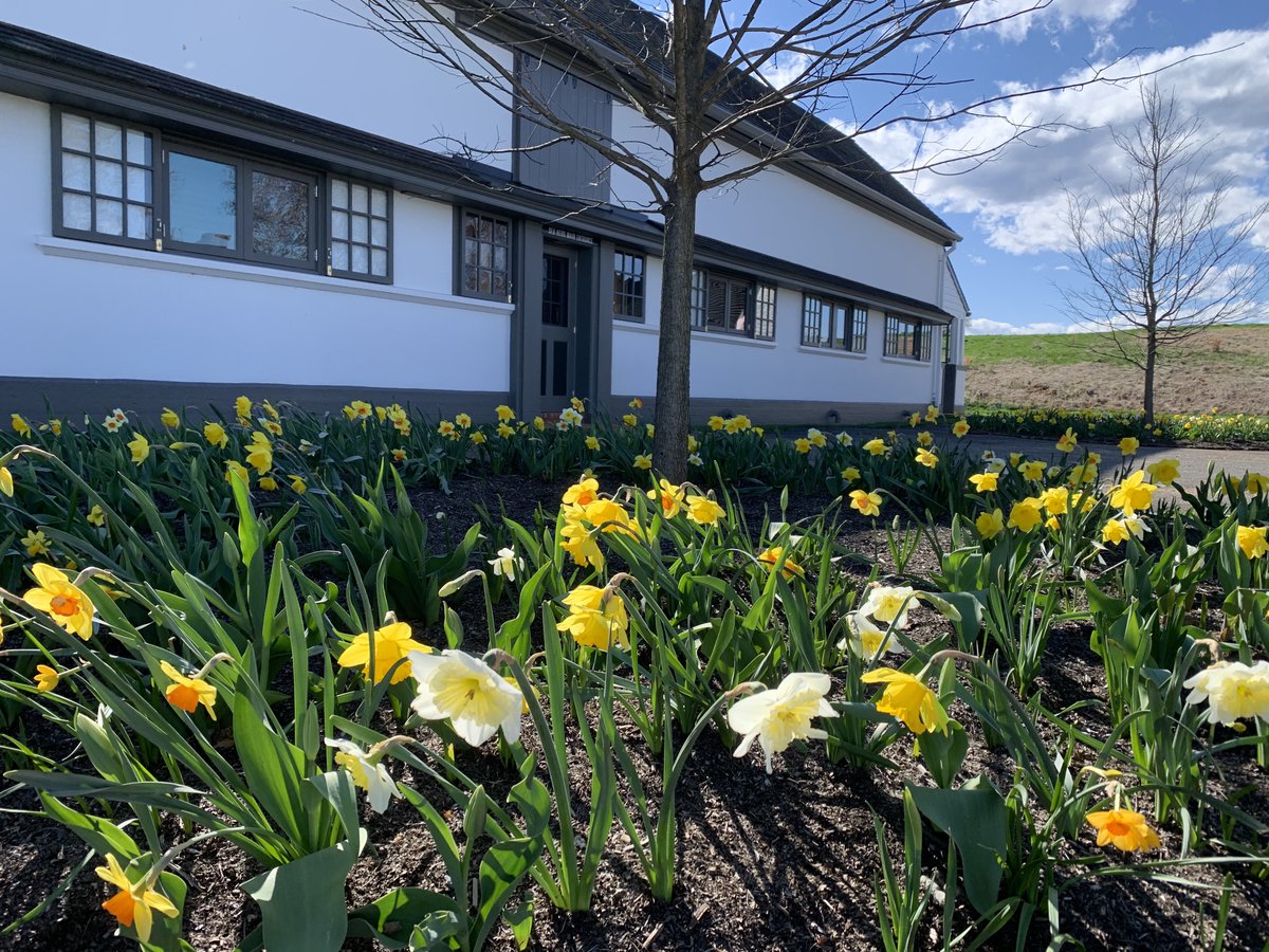 oak_spring's tweet photo. Happy first day of #NationalGardenMonth! Our landscapes and gardens have been slowly but surely putting on their spring colors #BloomAlert 🌸 https://t.co/qLAdKLunL7